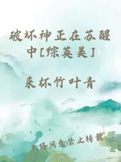 破坏神正在苏醒中[综英美]