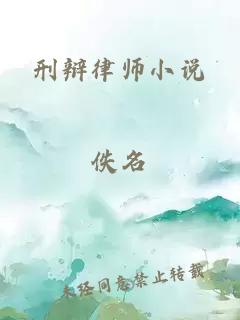 刑辩律师小说