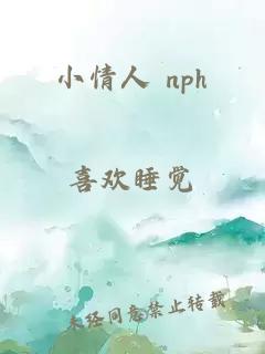 小情人 nph