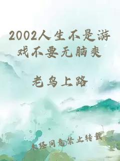 2002人生不是游戏不要无脑爽