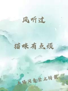 风听过