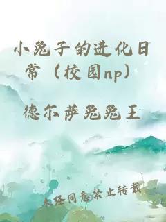 小兔子的进化日常（校园np）