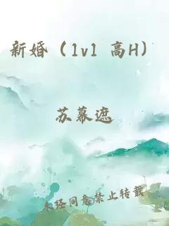 新婚（1v1 高H）