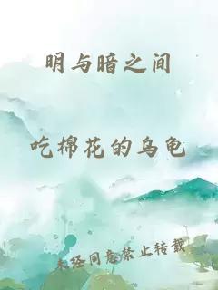 明与暗之间