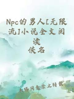 Npc的男人[无限流]小说全文阅读