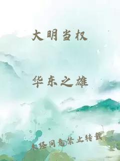 大明当权