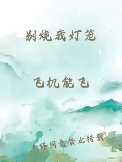 别烧我灯笼