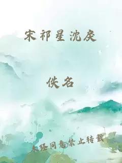 宋祁星沈戾