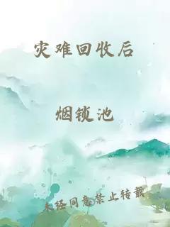 灾难回收后