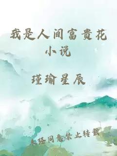 我是人间富贵花小说