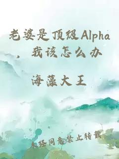 老婆是顶级Alpha，我该怎么办