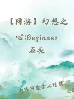 【网游】幻想之心:Beginner